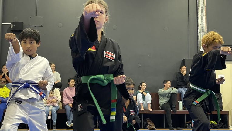 karate and martial arts